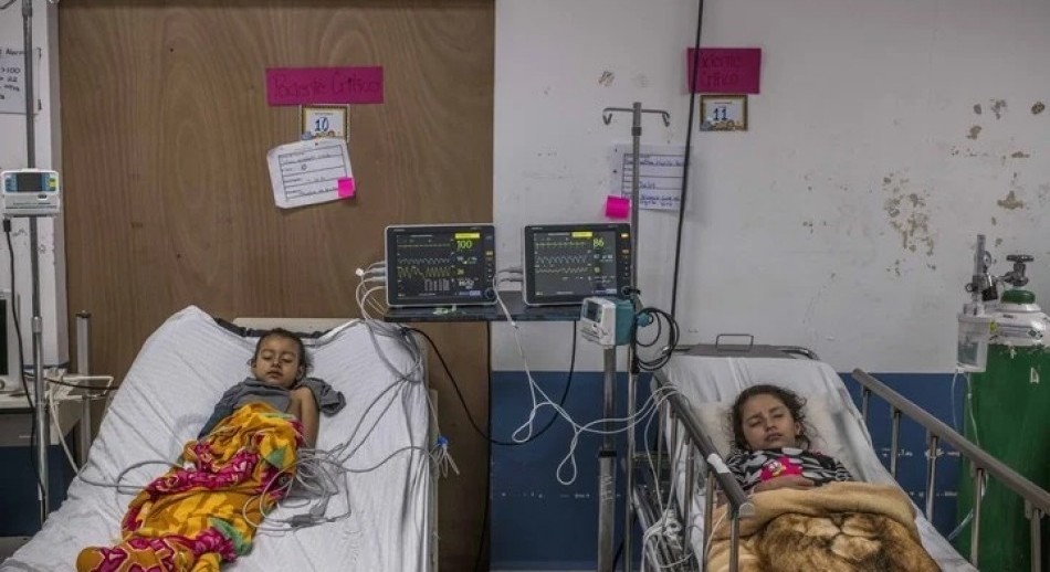 Confirman los primeros cinco casos autóctonos de chikungunya en Santa Fe