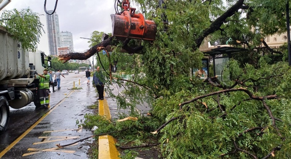 Temporal en el AMBA: cortes de luz, voladura de techos y árboles caídos por la fuerte tormenta