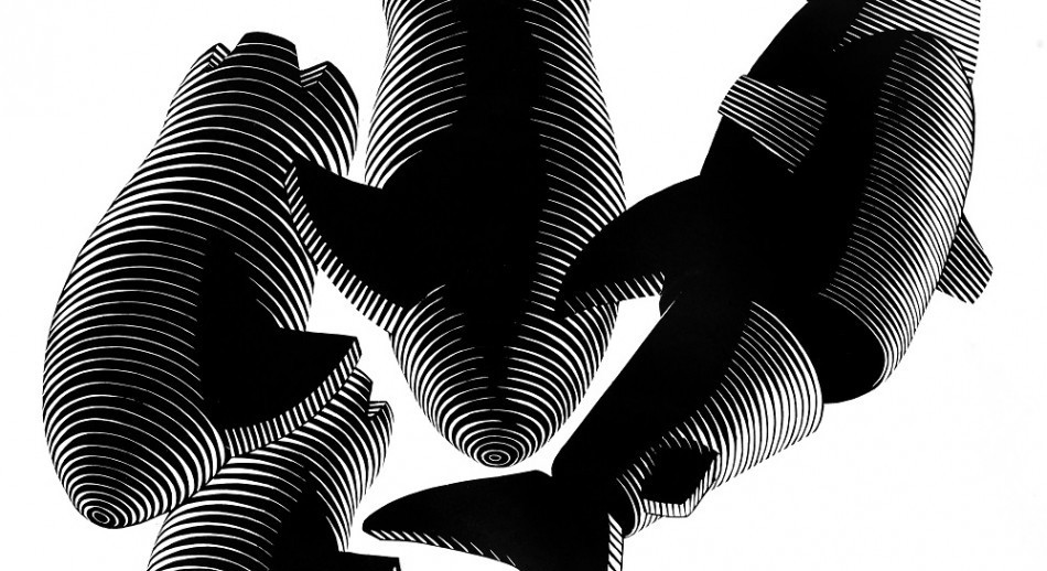 La Galería de Arte del BNA Presenta: “Una ola muy pronto va a romper”